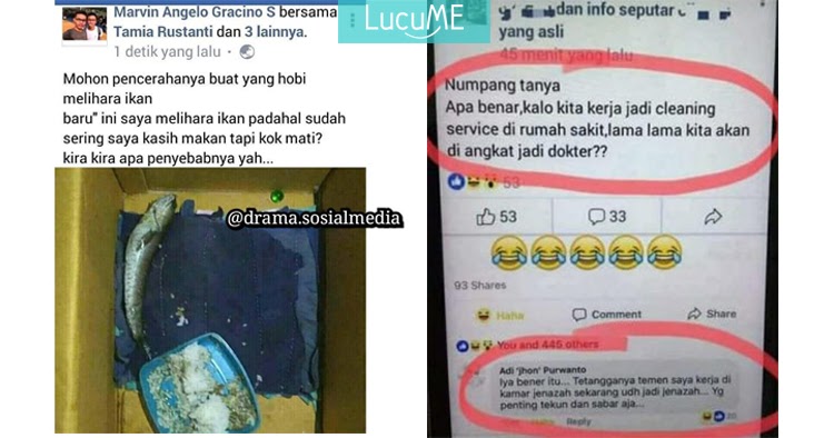 15 Pertanyaan Lucu Warganet yang Bikin Ngakak Sampai Ngejengkang - Lucu