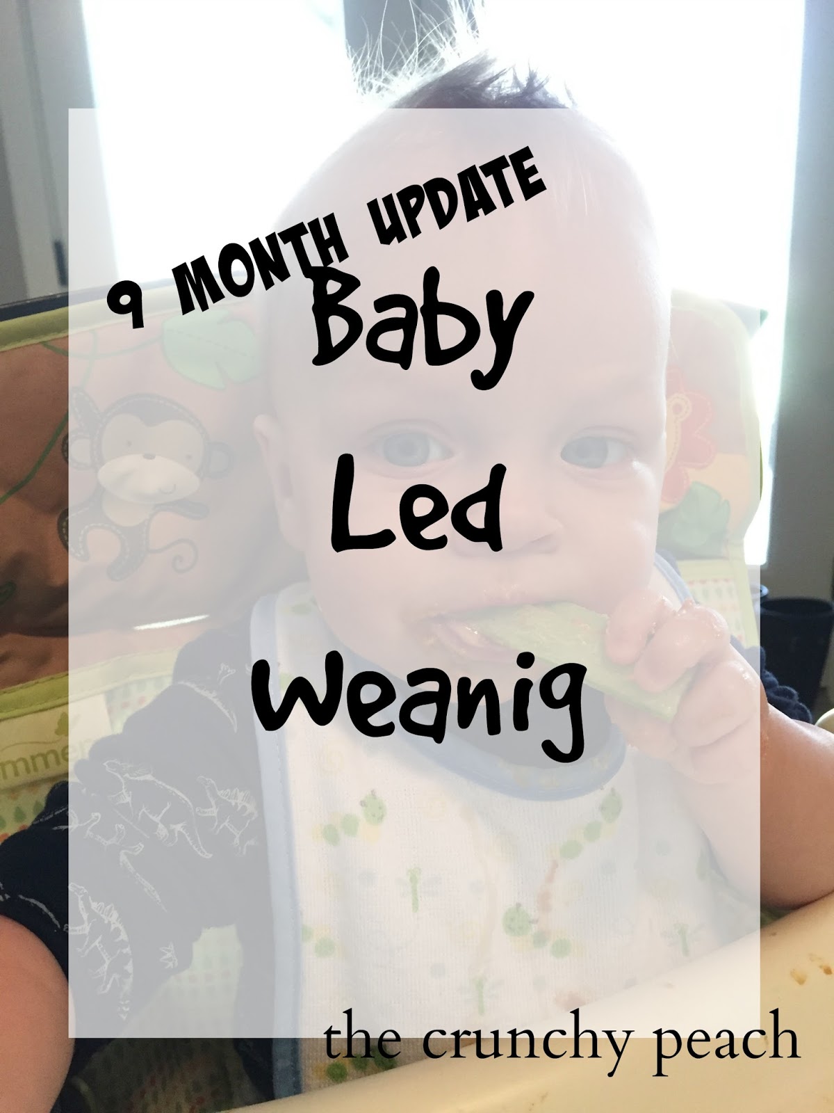 the crunchy peach Baby Led Weaning Nine Month Update