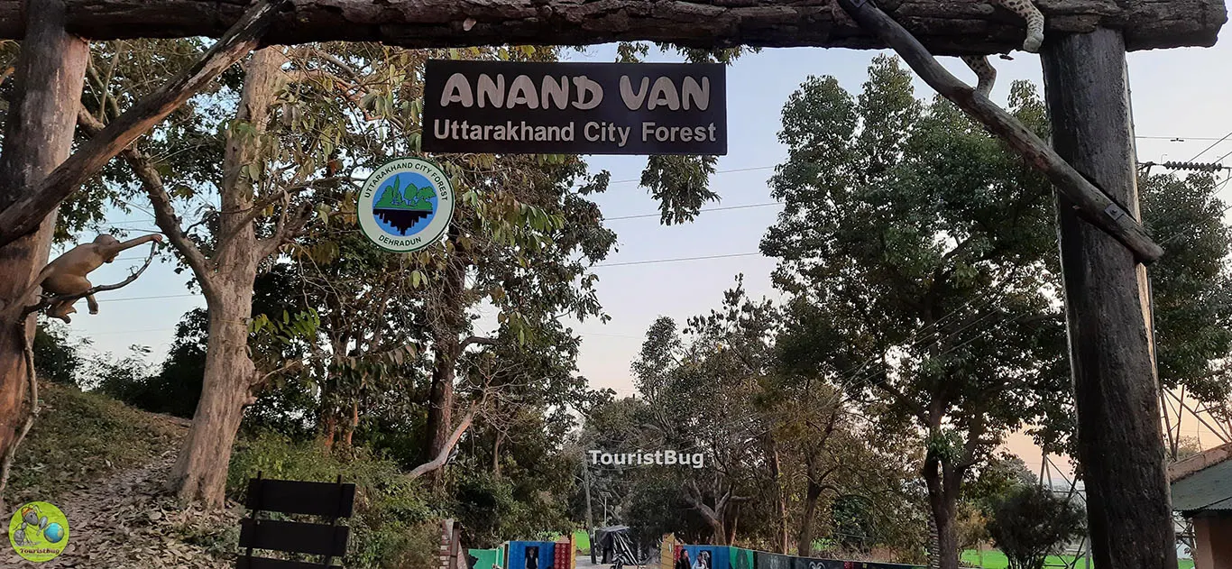 anand van dehradun timings