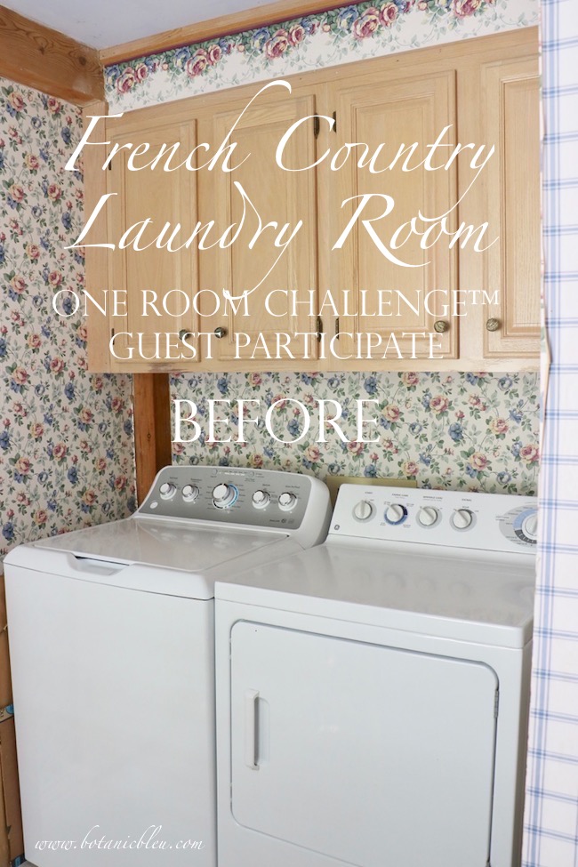 French Country Laundry One Room Challenge Wk 1 Before Washer and Dryer