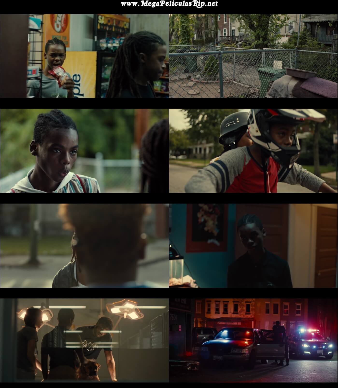 Los Reyes De Baltimore 1080p Latino