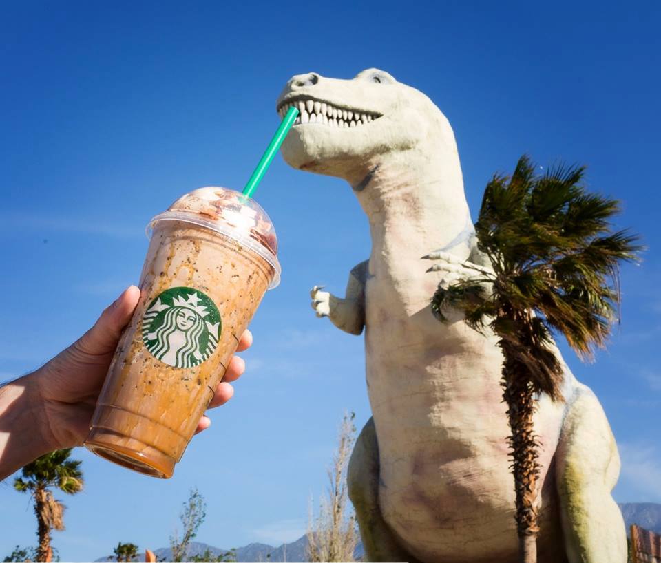 Download Dose Synthroid Free HD Get Wallpaper Dose Synthroid For Android