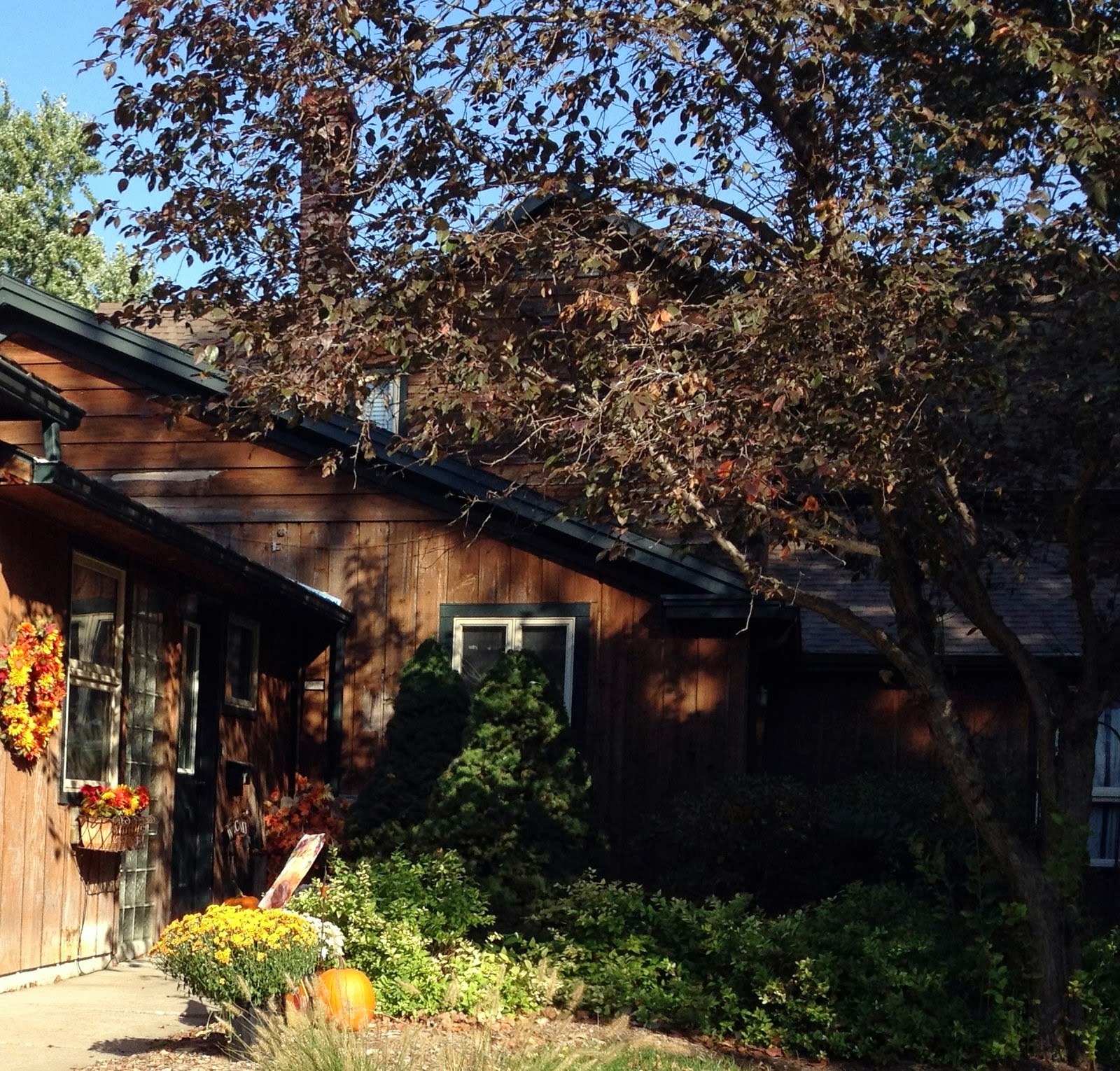 Jojo's News.2 FALL IN ROCK PORT MISSOURI