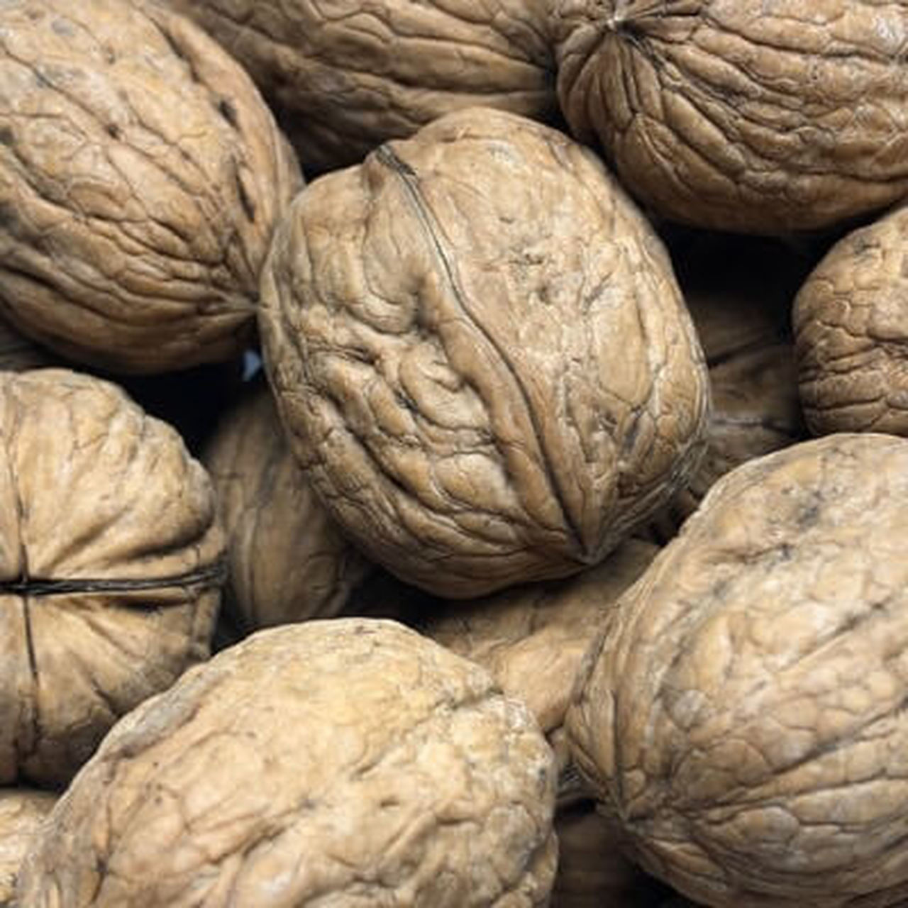 Dry Fruits & Vegetable Exporters in Africa WHAT ARE WALNUTS AND THEIR