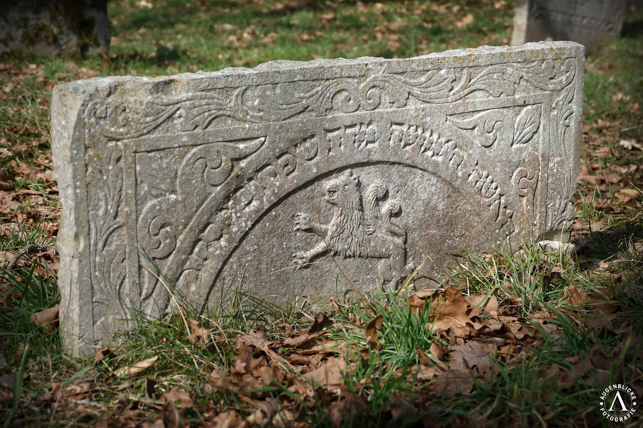 Augenblicke Fotografie Jüdischer Friedhof