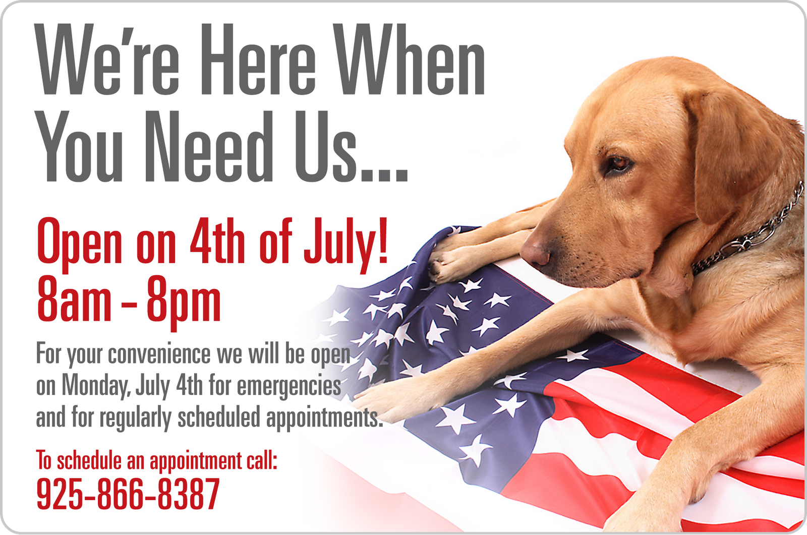 Ranch Veterinary Center We are Open on the Fourth of July!