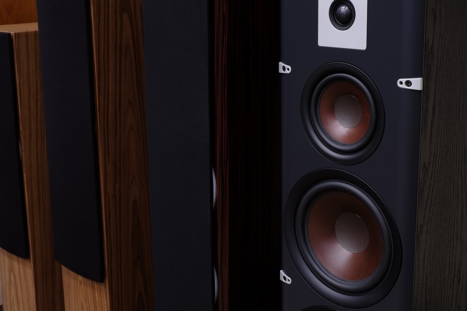 展示特価品 ひさびさに大きいスピーカー入りました Daliの Lektor8