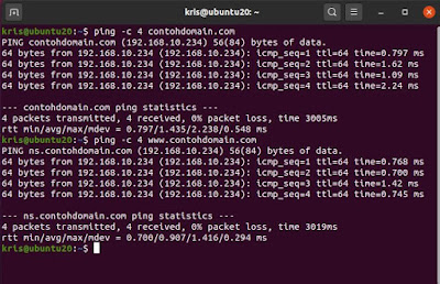 Cara Install dan konfigurasi DNS Server di Debian 10