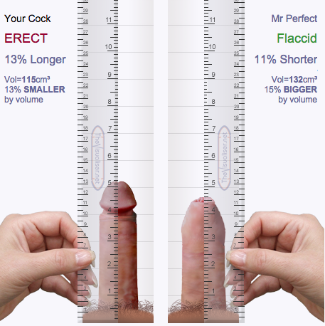 Average Penis Size Porn