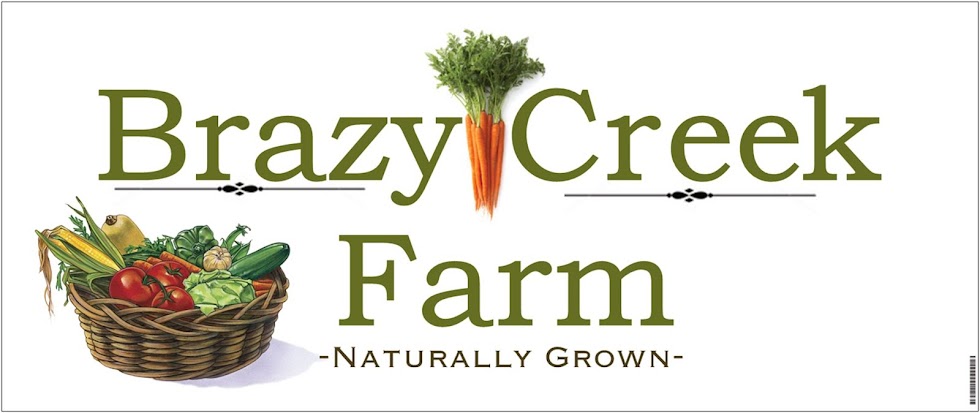 Brazy Creek Farm