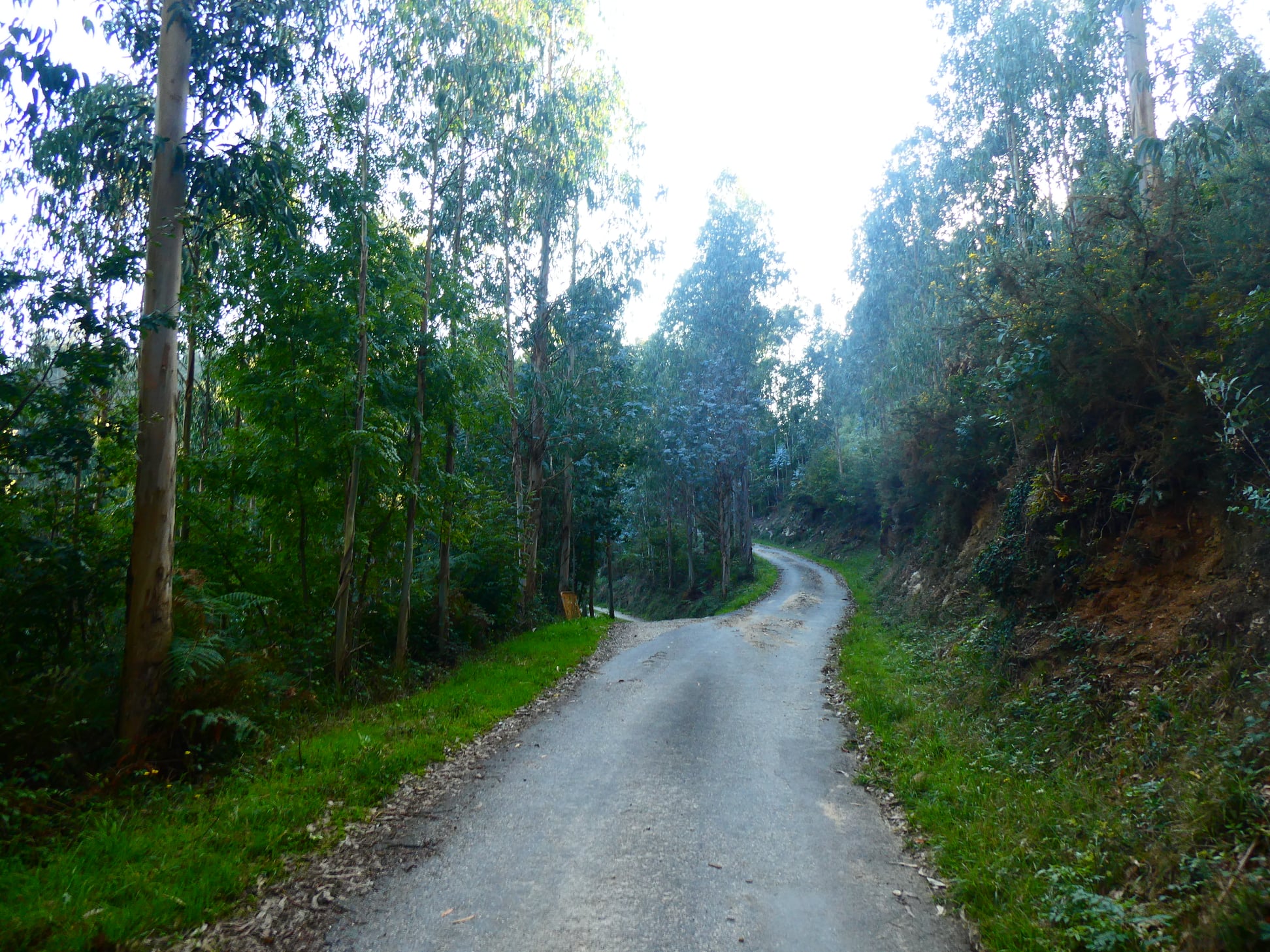 Xurde Morán A FERVENZA DE VILOALLE