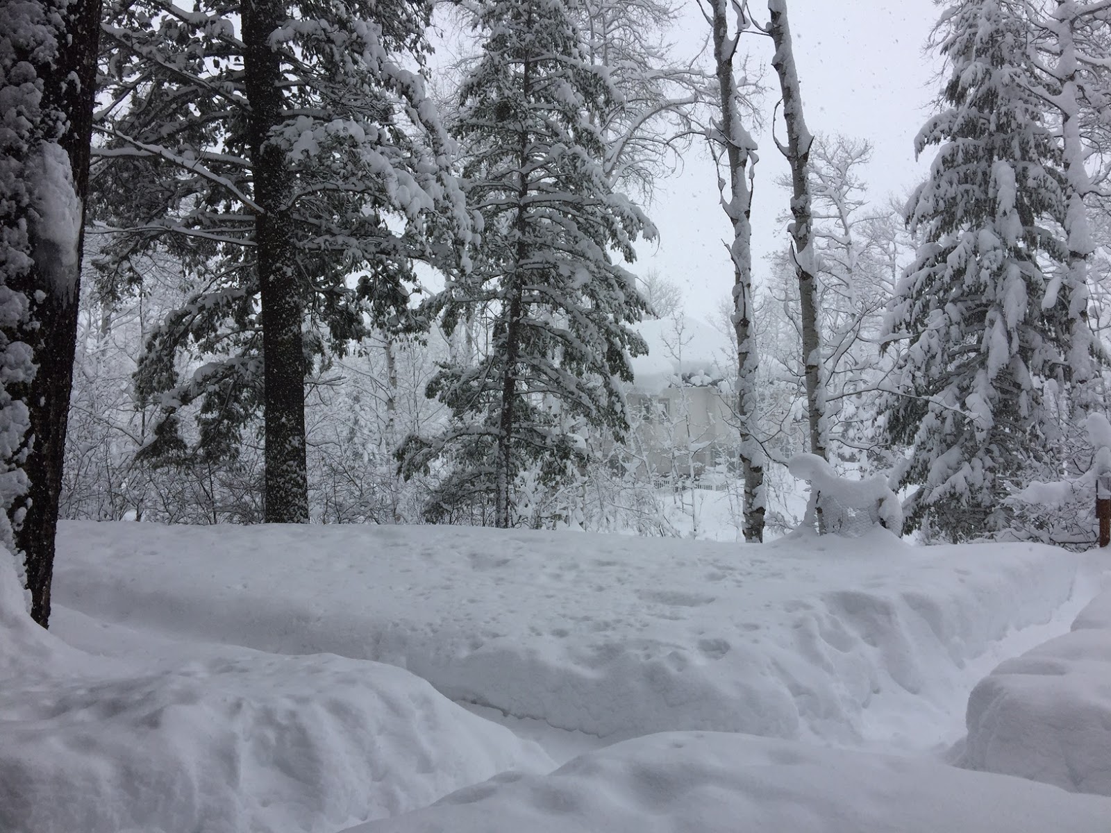 Star Valley Weather Western Wyoming Mega Snow Storm Update