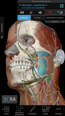 تطبيق Human Anatomy Atlas 2020 للأندرويد, تطبيق Human Anatomy Atlas 2020 مدفوع للأندرويد, Human Anatomy Atlas 2020 apk paid mod pro