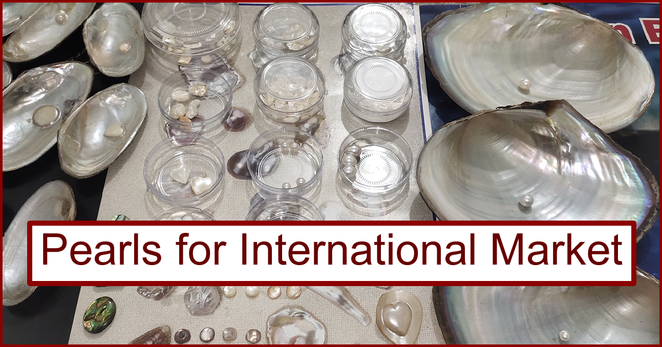 Pearl Buyers and Market of Freshwater MOP Half round Heart MABE and