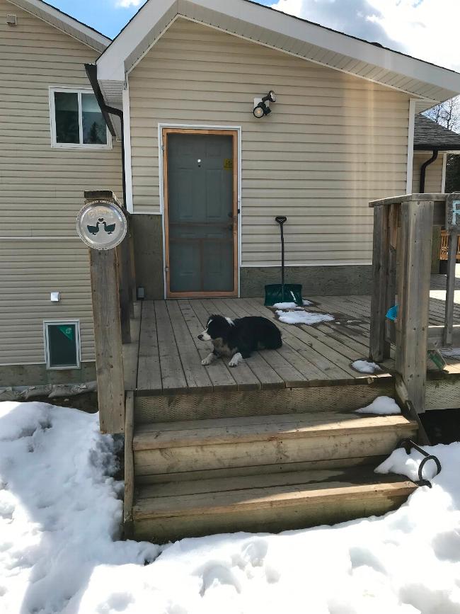 Housecarers Hourly House Sit Postings House Sitters required World