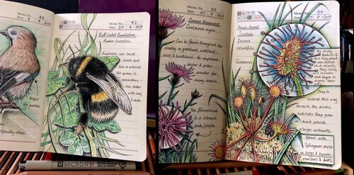 00-Nature-Journal-J-Brown-www-designstack-co