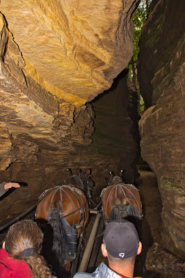 To Behold the Beauty: Lost Canyon, Wisconsin Dells