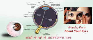 आंखों के बारे आश्चर्यजनक तथ्य, Top Eyes Fact in Hindi, ankho ke rochak tathya, आंखों के तथ्य, AMAZING FACTS ABOUT EYES in Hindi