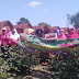 SIBA Rossela Lawang Kidul Lakukan Panen Perdana Bunga Rosella