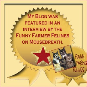 Mousebreath Interviewed us!