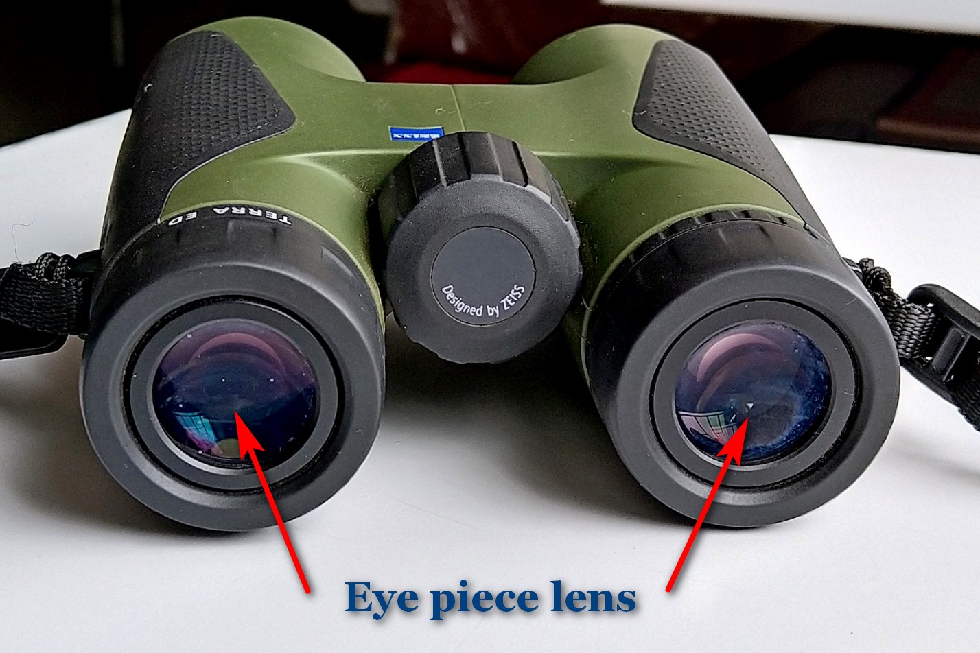 A Woodcrawler's Journal The Binocular Blog Part 1 The Anatomy of