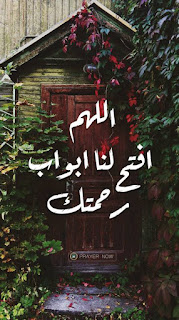 خلفية, خلفيات, صور, خلفيات موبايل, خلفيات جوال