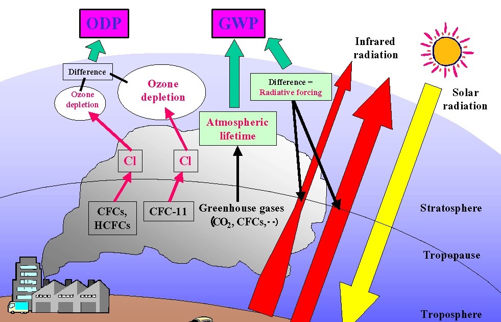 Explain How Gwp Differs With Each Gas