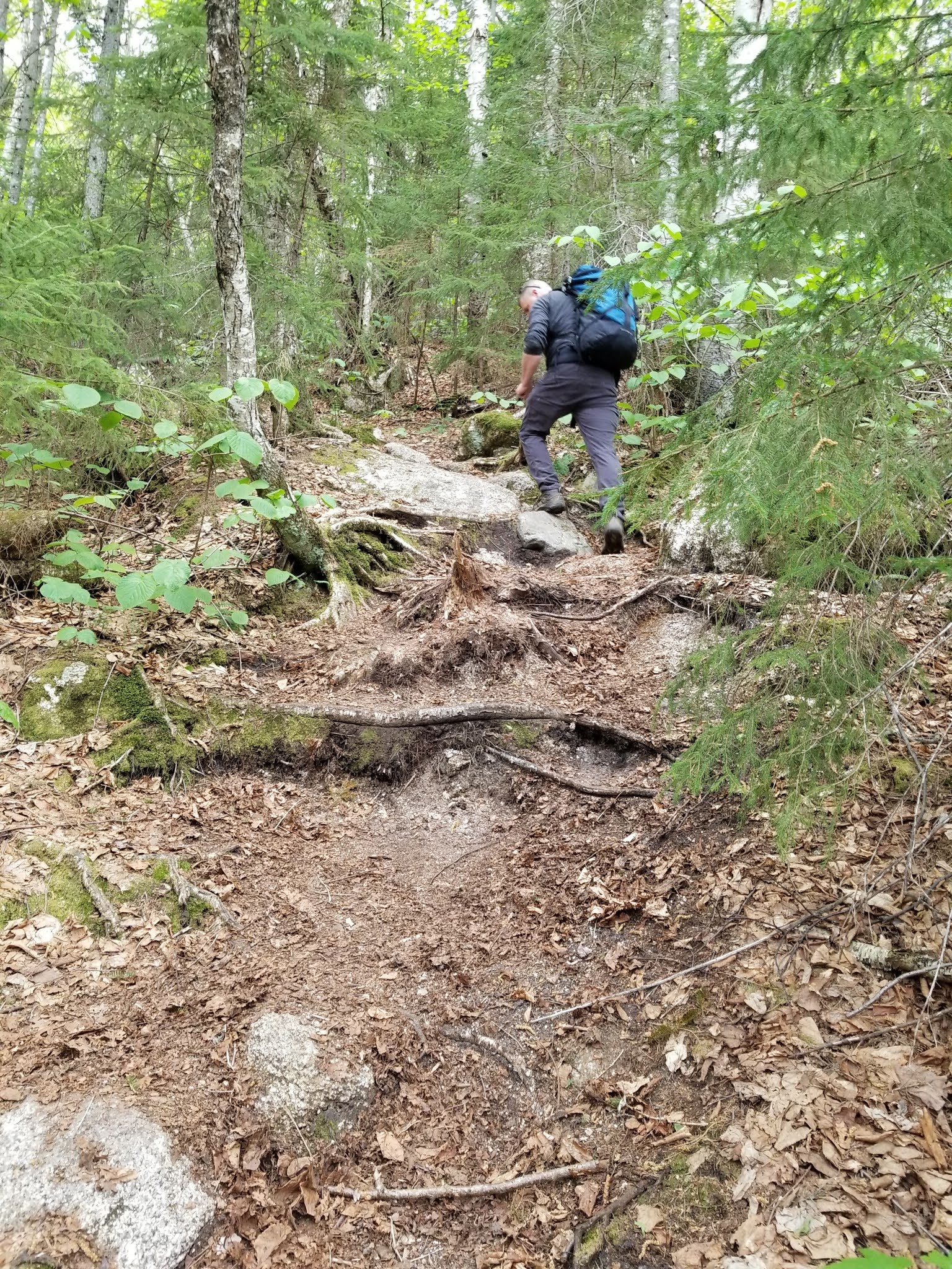 Whitefield, New Hampshire Hike 3 Kedron Flume Loop Trail