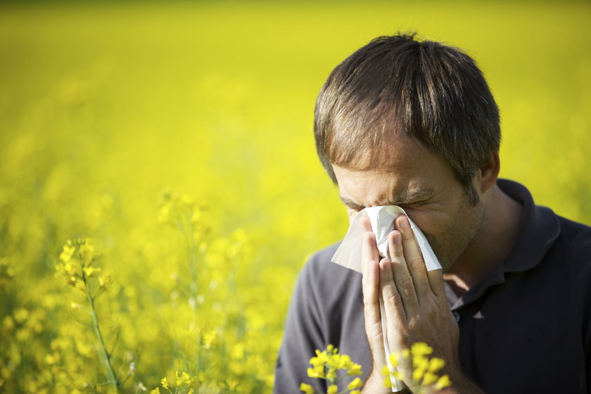 Las causas que provocan alergias