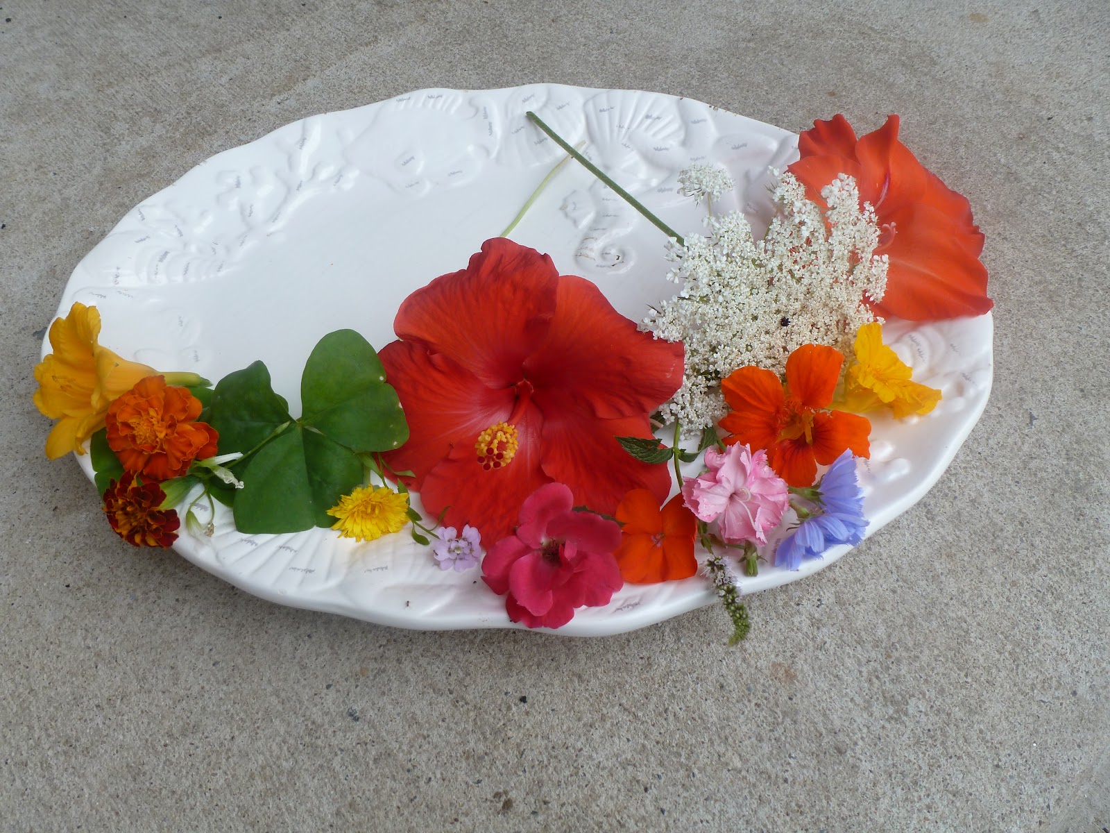 Kaplan Center for Health and Wellness Flowers as Food Part II