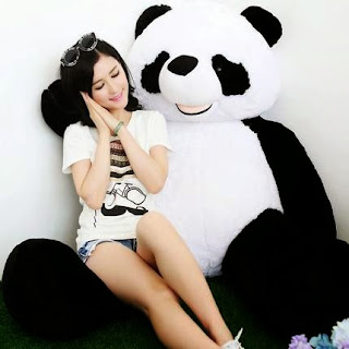 jual boneka panda