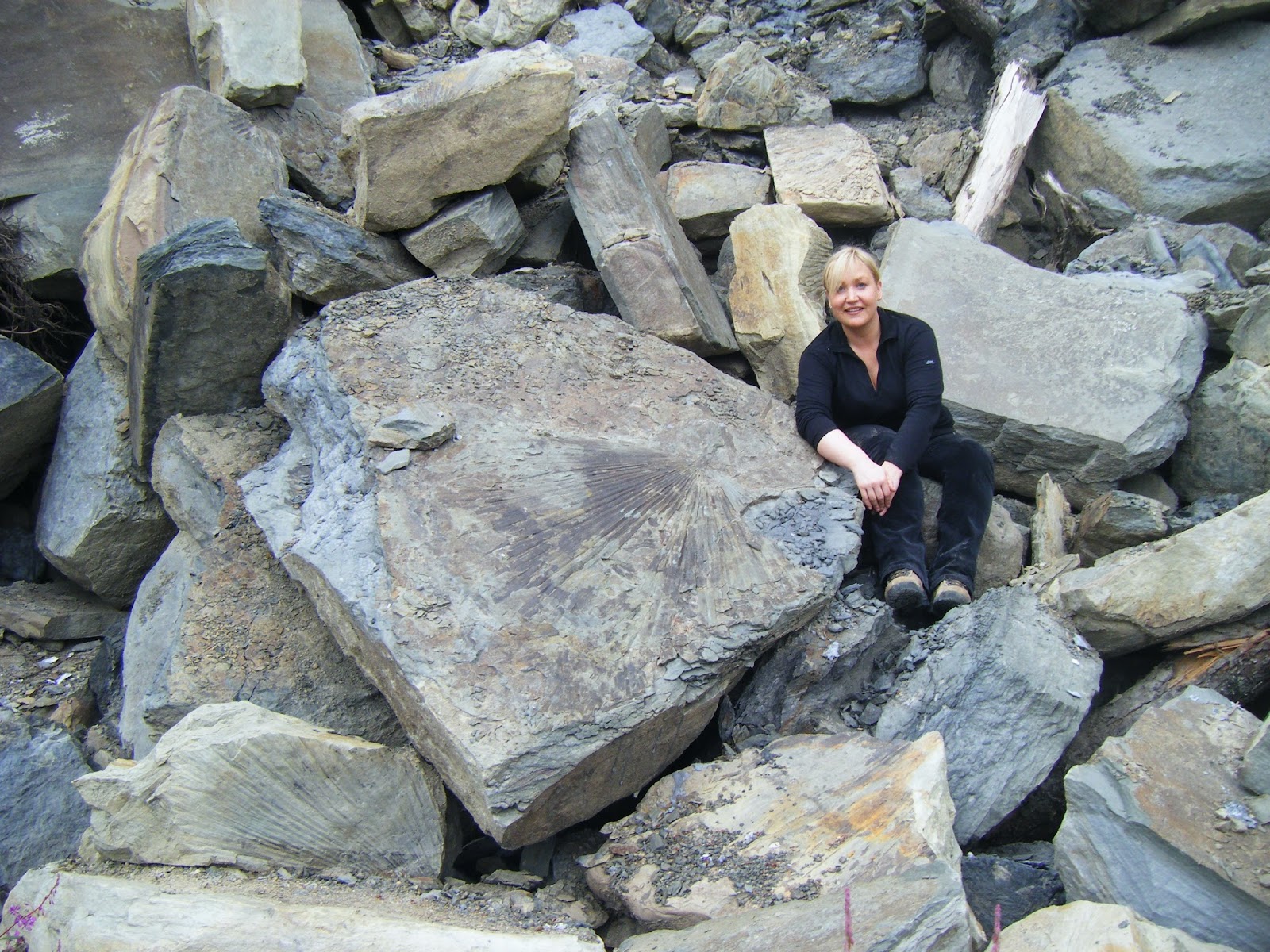 FOSSIL HUNTRESS WASHINGTON FOSSIL FIELD TRIP
