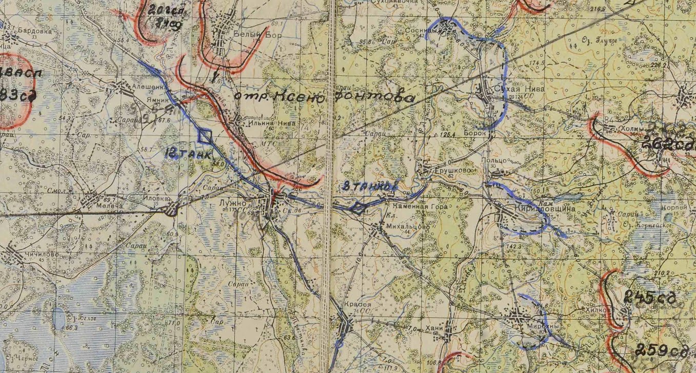 Кневицы новгородская область демянский район карта