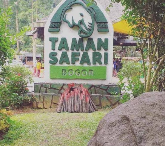Paket Wisata Taman Safari Bogor