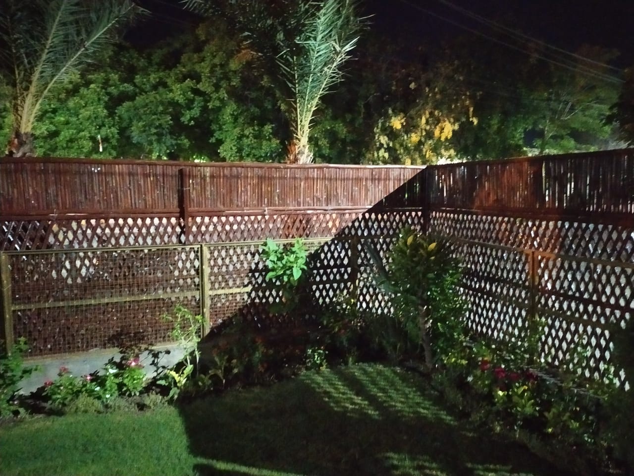 Bamboo Boundary Wall design in Amritsar 9855551388