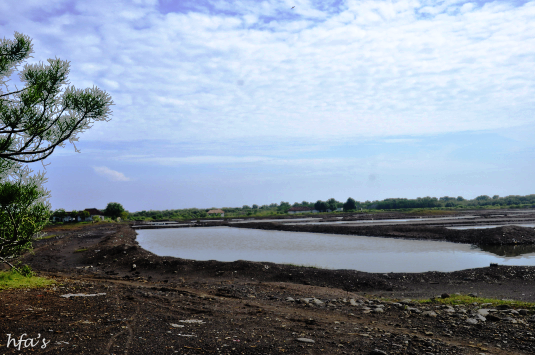 Pariwisata Probolinggo | Desa Penambangan, Kecamatan Pajarakan