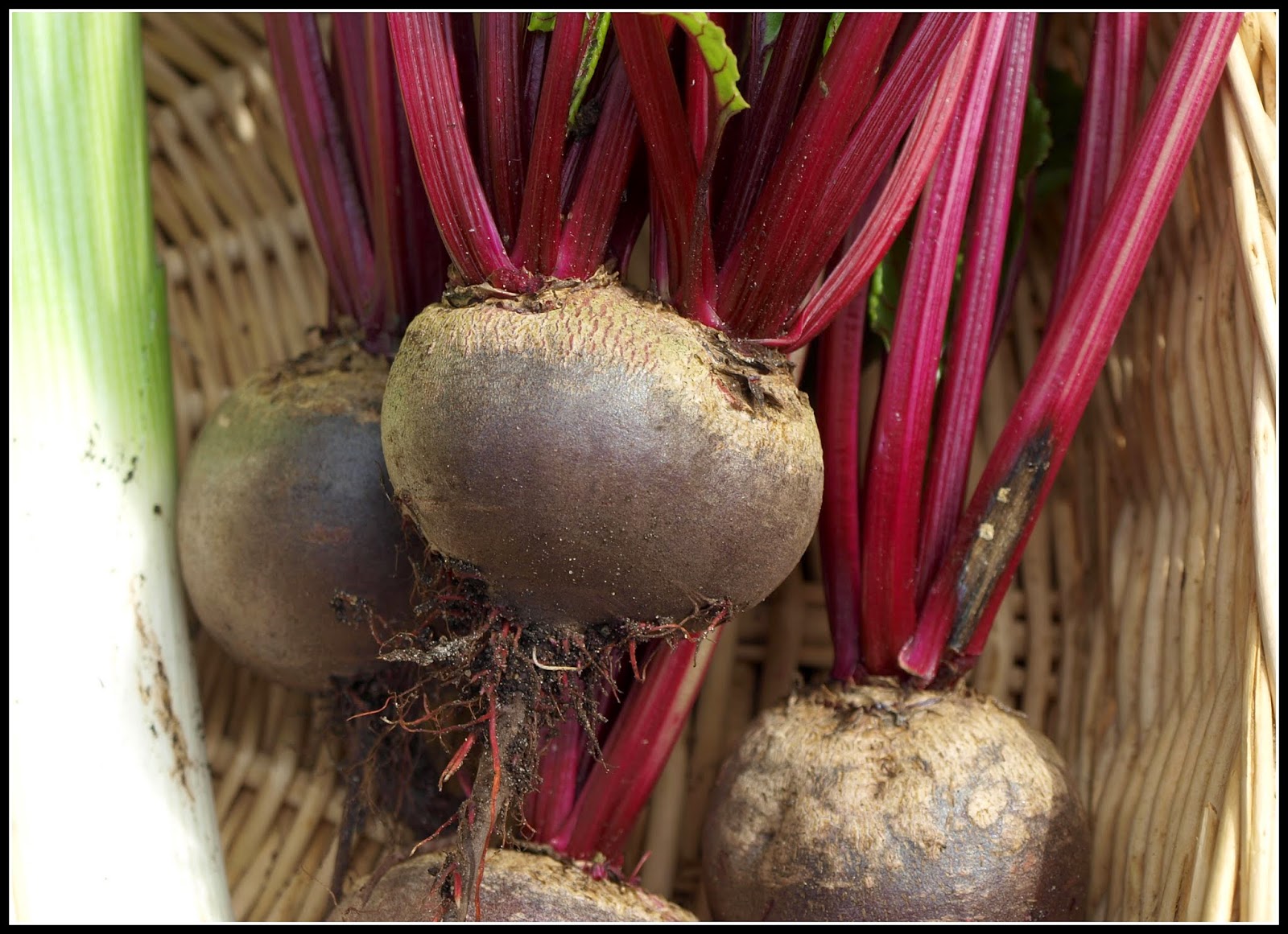 Mark's Veg Plot: Vegetable art