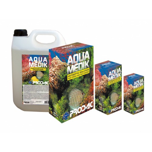 bitkili akvaryum rehberi