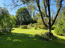 View on the back garden