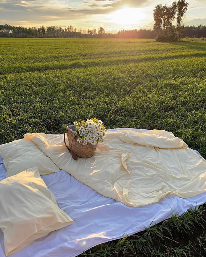 Compilation | Late-Spring Inspiration: Coming Up Daisies