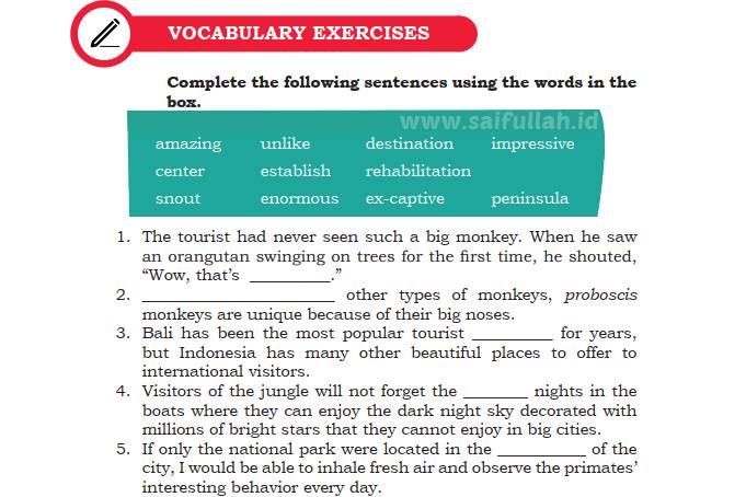 Kunci Jawaban Chapter 4 Halaman 56 Vocabulary Exercise Saifullah Id