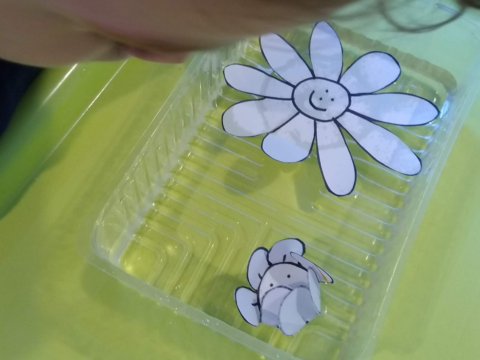 Opening paper flowers