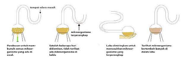 Materi Asal Usul Kehidupan Mapel Biologi kelas 12 SMA/MA - Bospedia