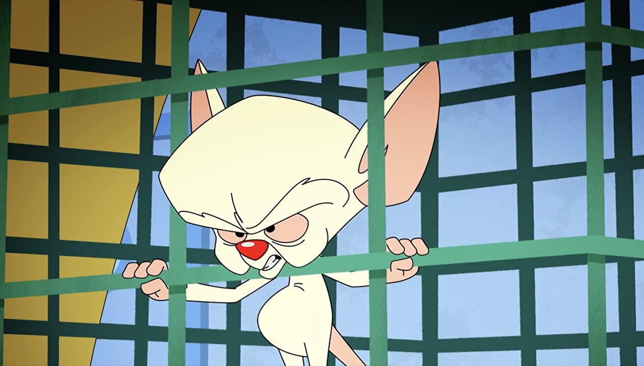 download animaniacs 2020 season 3 2022 download animaniacs 2020 season 3 2022