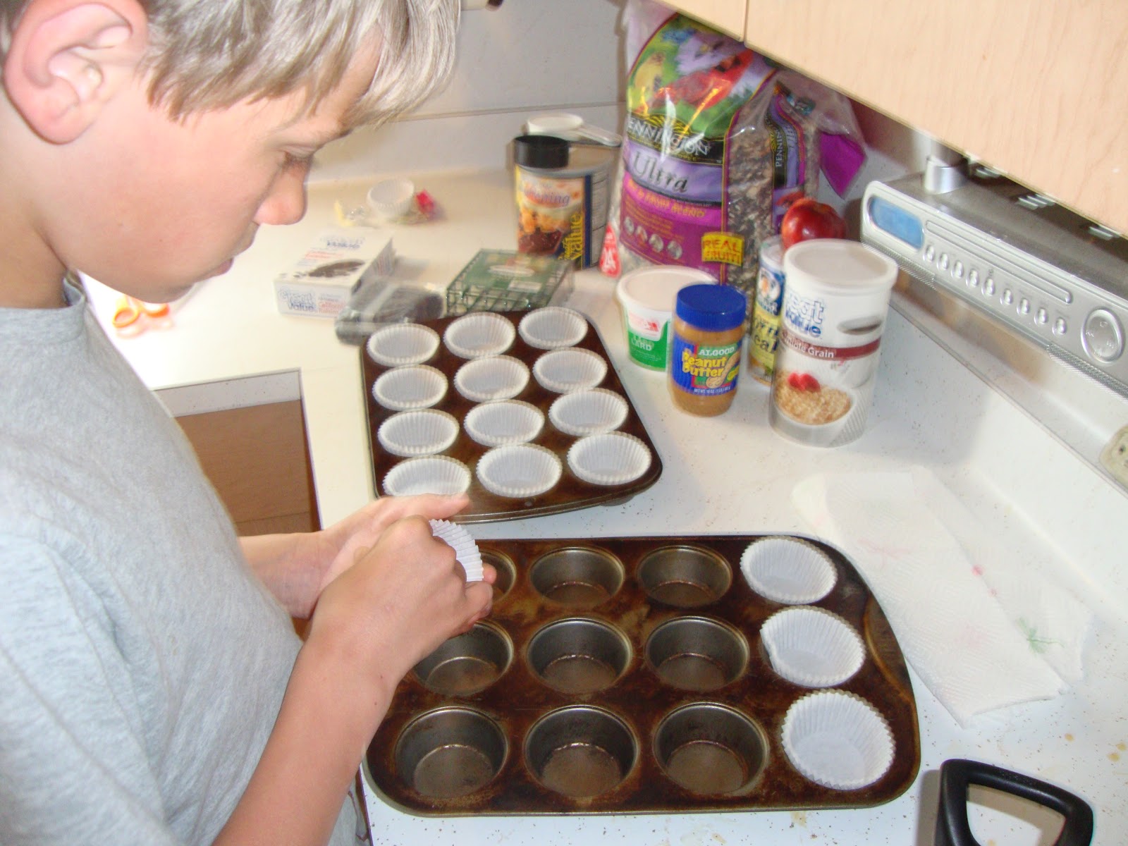 "100 Days of Summer" "Bird Suet"