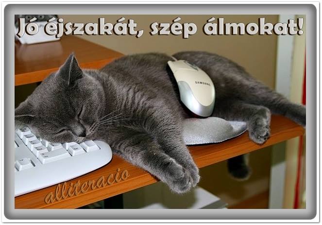 Включи котики устали громкость. Кот с компьютерной мышкой. Кот уснул на клавиатуре.