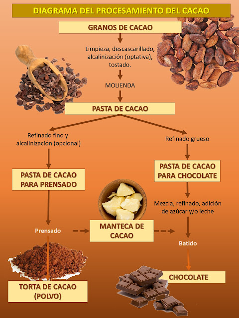 Diagrama del procesamiento del cacao. Diagrama esquemático de los procesos de fabricación de chocolate.