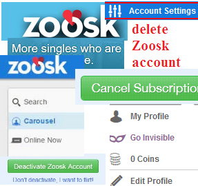 Remove zoosk profile