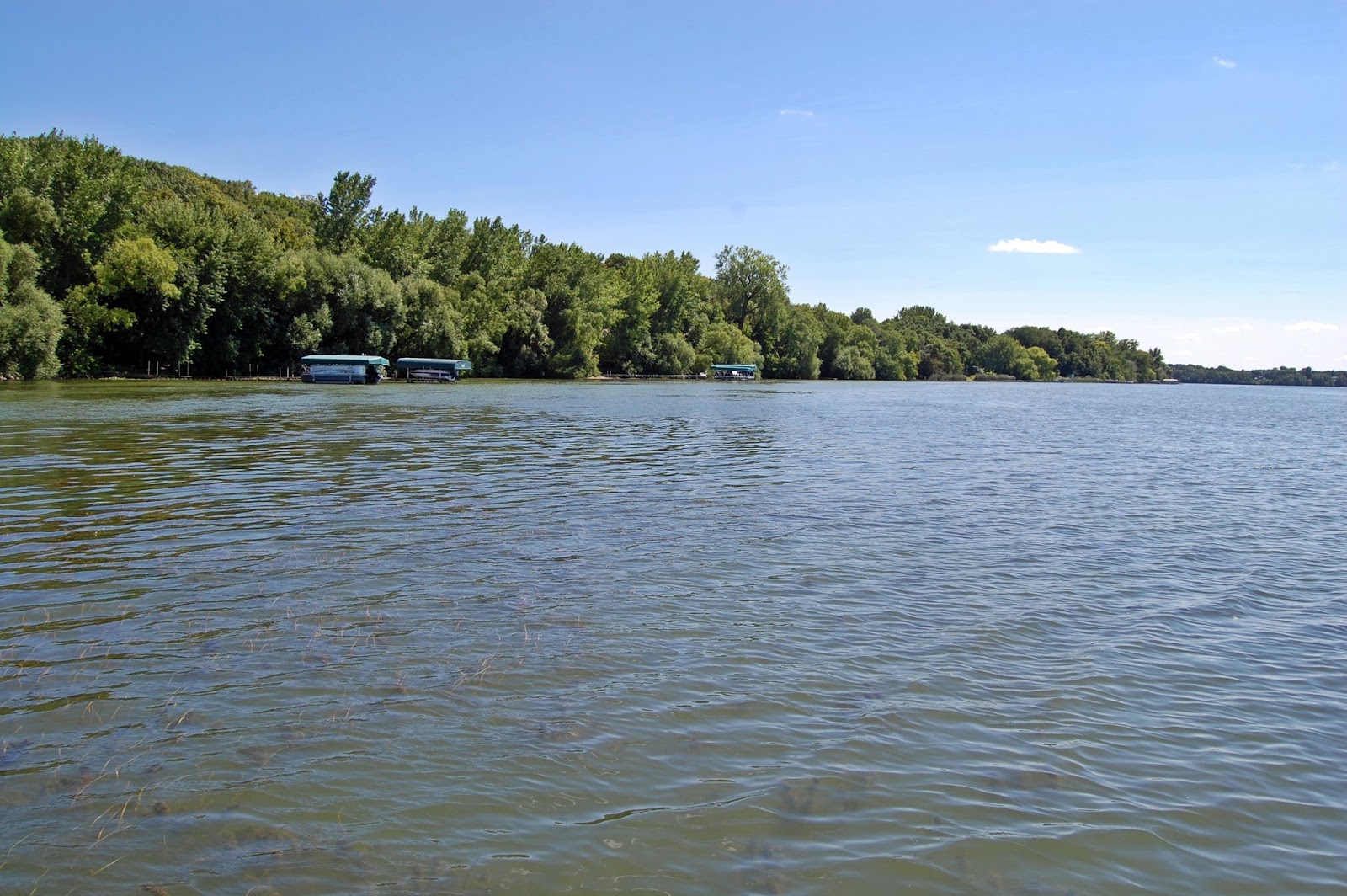 Homes For Sale On Lake Mazaska Mn at Gregory Garcia blog