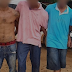 PM prende quadrilha suspeita de roubos e clonagens de veículos em RO